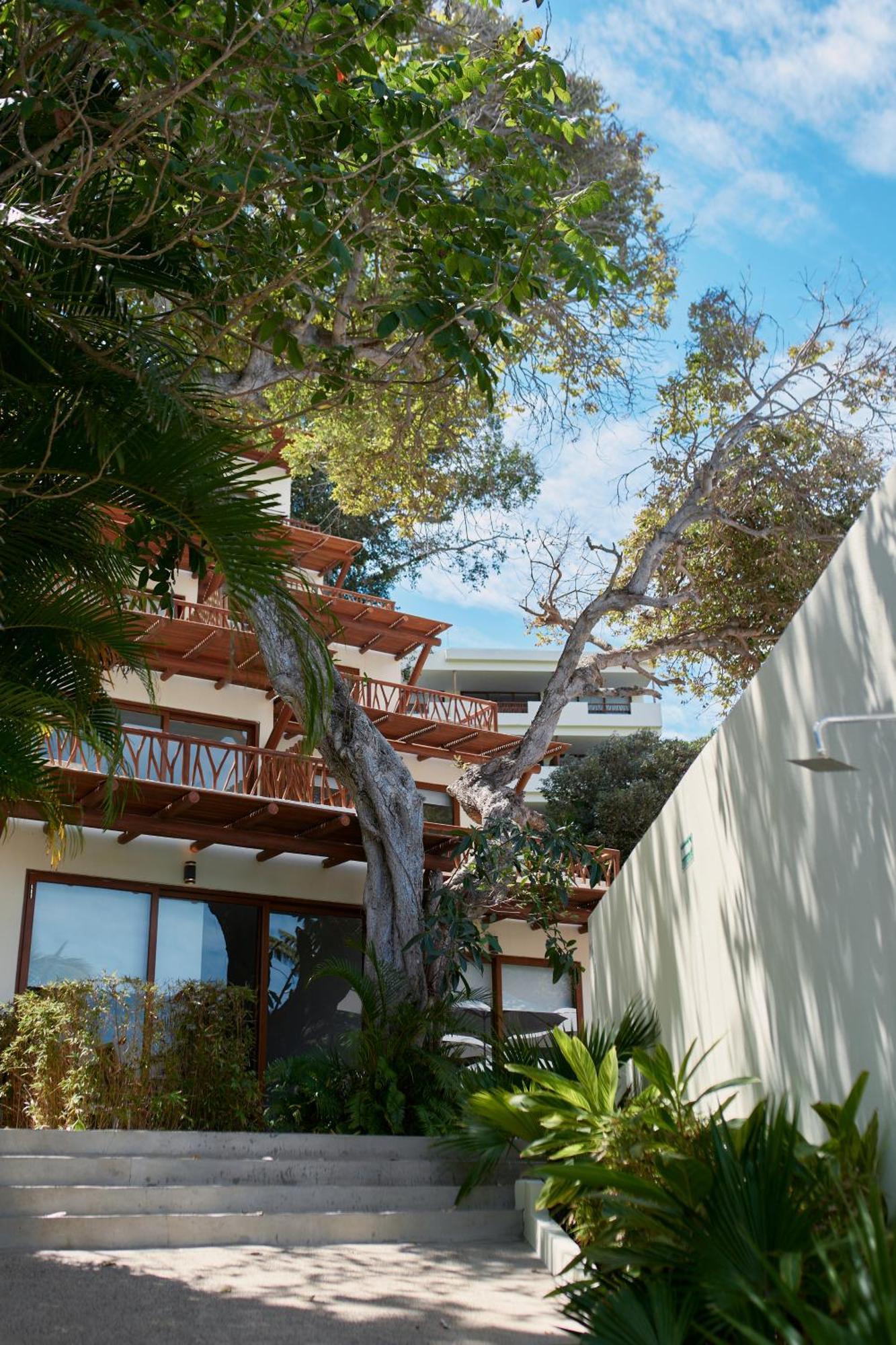 Ysuri Sayulita - Beachfront Hotel Εξωτερικό φωτογραφία